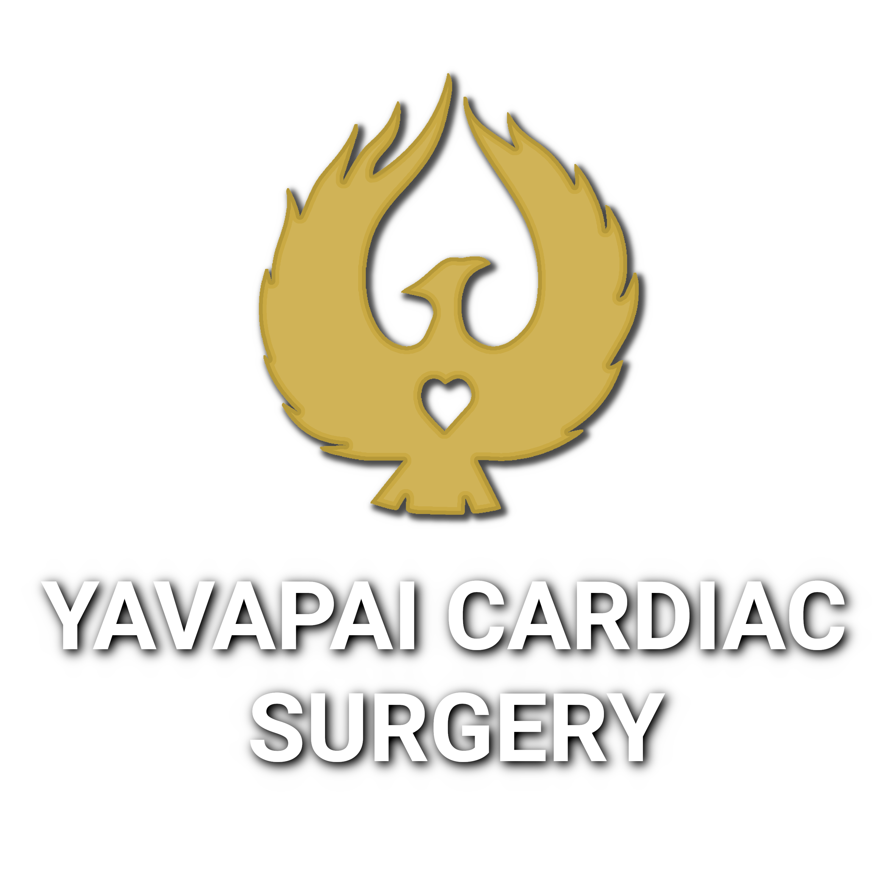 Yavapai Cardiac Surgery